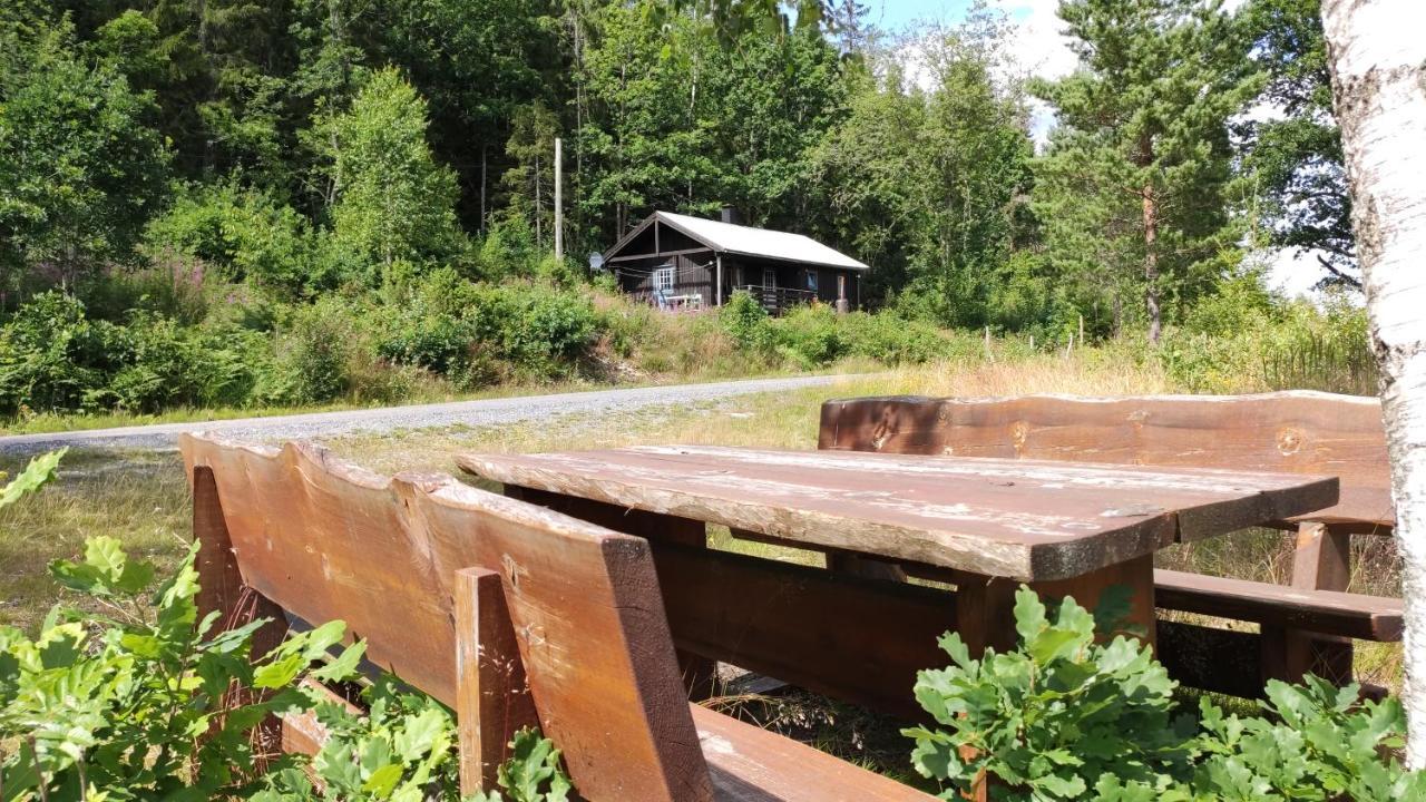 Solheim. Hytte Med 2 Soverom Birkenes Екстер'єр фото